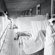 Walter Reed Hospital flu ward (ca. 1910–1920).